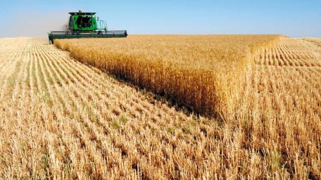 روسيا توقف صادرات القمح حتى منتصف 2022.. وبوتين يُحذر قادة العالم