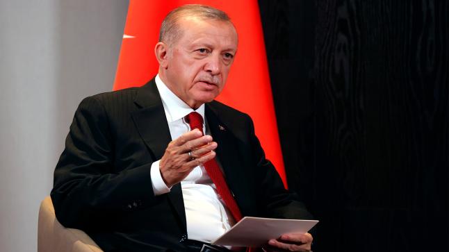 ردًا على وصف أردوغان بـ”جرذ المجاري”.. تركيا تستدعي السفير الألماني لديها