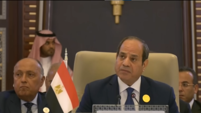 مصر تحذر من تبعات التحديات بالمنطقة العربية.. وتؤكد: لا بد من التعاون بالدولة الوطنية