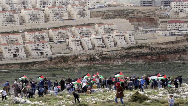 ماذا عن قانون الاحتلال الإسرائيلي لمصادرة أراضي الضفة الغربية؟.. اعرف التفاصيل