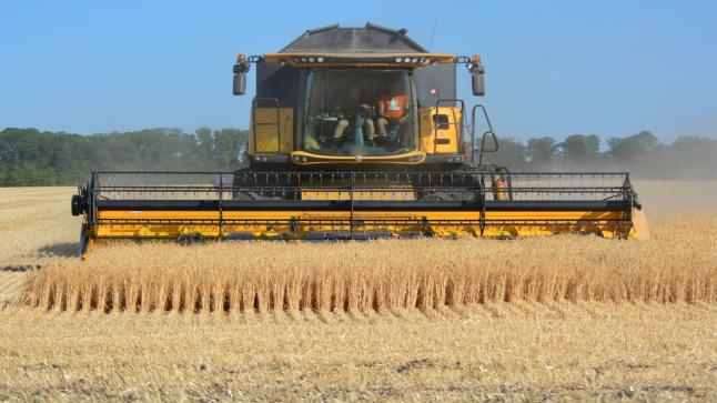 روسيا توقف تصدير الحبوب الأوكرانية والاتحاد الأوروبي يعلق